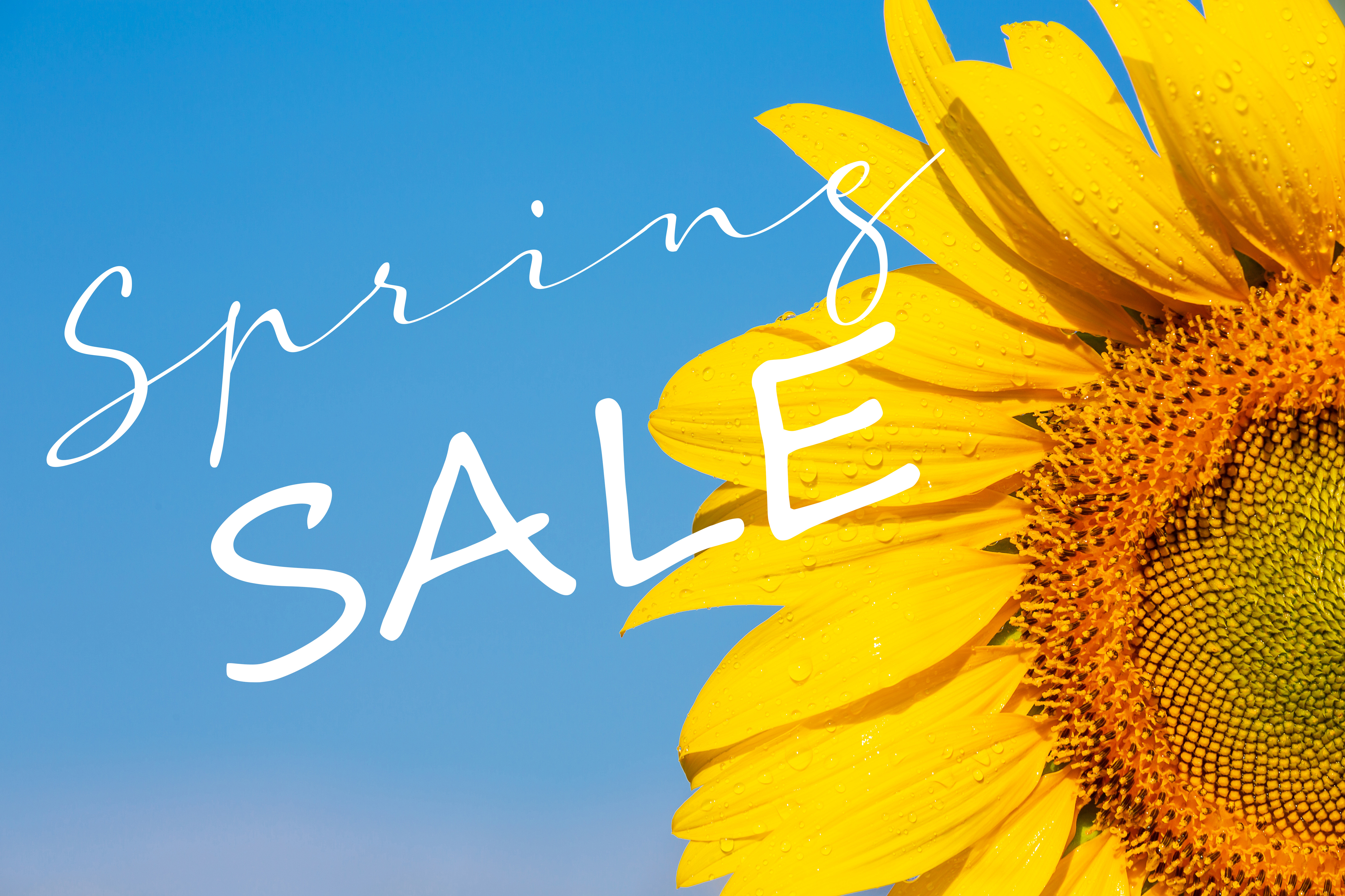 Online Specials Online Specials